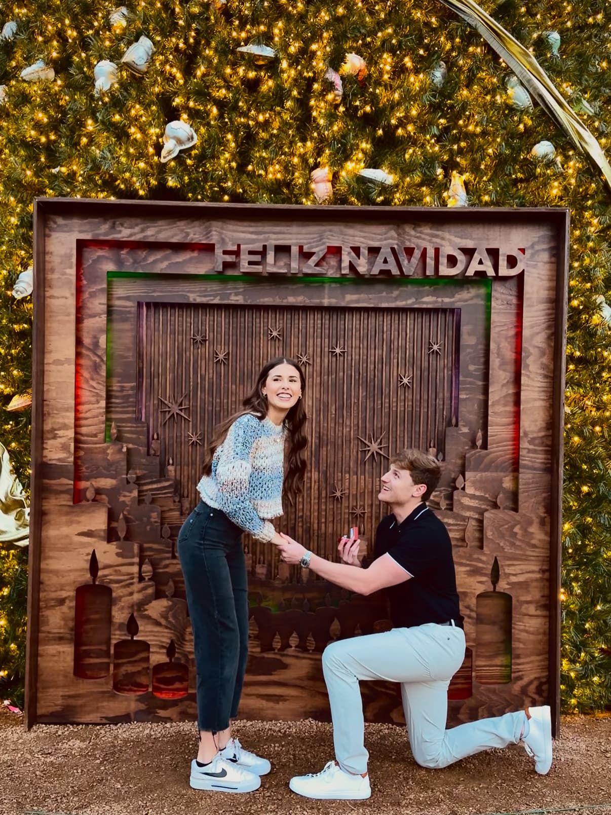 The proposal